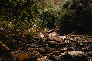 Pequeño río de montaña entre arboles y rocas.