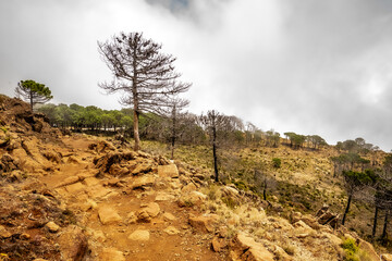 Cima de la montañas con nubes y niebla