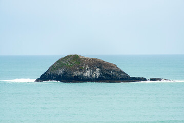 Oaia Island in Muriwai - New Zealand