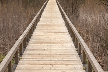 Fototapeta premium 古い木の橋 Old long road bridge made of wood
