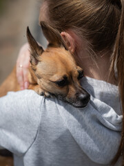 Young Caucasian woman holding a small dog in her hands. 