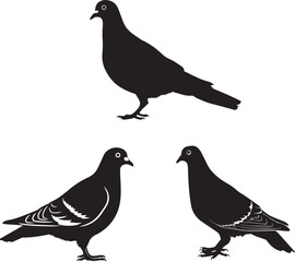 Pigeon silhouette collection, bird vector