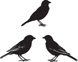 Silhouette vector of sparrows, birds vector