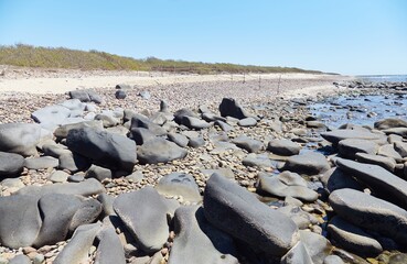 Obraz premium Las Labradas, the Mysterious Seaside Petroglyphs of Sinaloa