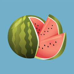 illustration of watermelon