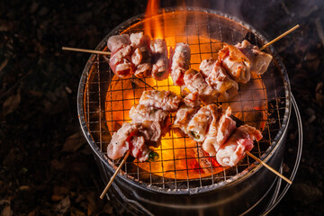 串焼きバーベキュー　Charcoal barbecue of skewered meat