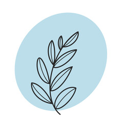 Line drawing illustration with plant.