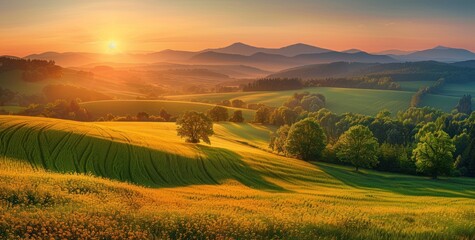 Fototapeta premium Golden Hour in Rolling Hills