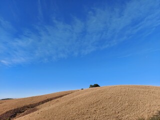 Field and sky