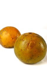 white isolated orange fruit with ugly skin