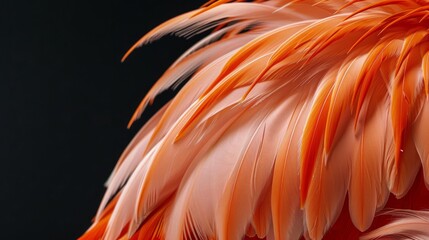Closeup of flamingo plumage generative ai
