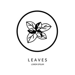 Logo vector design for business. Leaves logos.