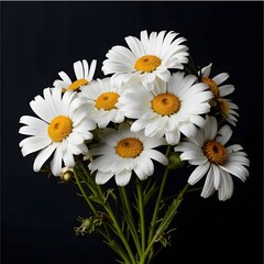 Obraz premium art panel for the interior of the hall, living room, room, painting of white flowers daisies on a dark background