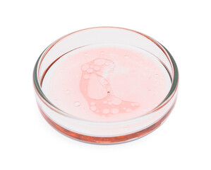 Petri dish with sample isolated on white