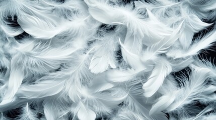 Fototapeta premium Ethereal Feather Details - Delicate Texture Background with Soft and Intricate Patterns for Design Inspiration, Generative Ai