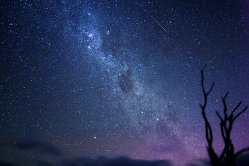 オーストラリアの天の川と流れ星