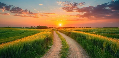 Fototapeta premium Sunset Over Countryside Path