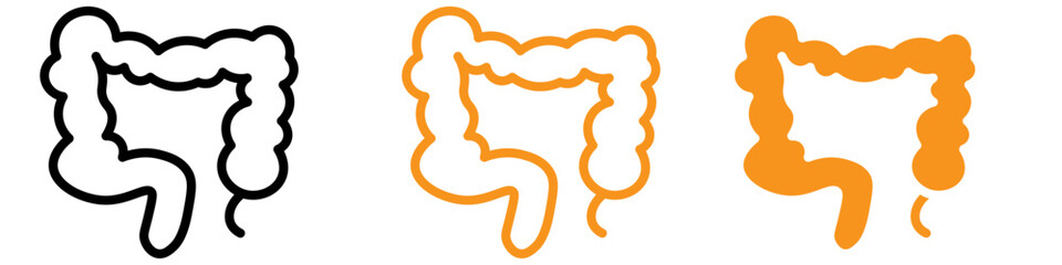Large Intestine Icon Set Digestive System Illustrations for Health and Anatomy