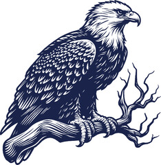 Eagle Vector, eagle silhouette, eagle Vector drawing	
