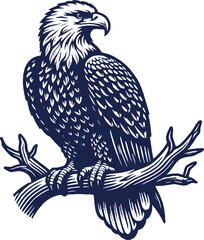 Eagle Vector, eagle silhouette, eagle Vector drawing	