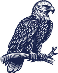 Eagle Vector, eagle silhouette, eagle Vector drawing	