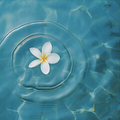 Flower drop in to blue clear water and make a little ripple