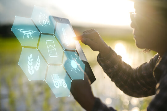 A smart farmer uses a tablet application, integrating modern agricultural technology with visual icons for efficient farm management.