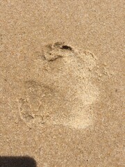 footprints in sand