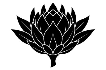 
king protea flower vector silhouette, vector black king protea silhouette, king protea flower icon
