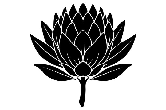 
king protea flower vector silhouette, vector black king protea silhouette, king protea flower icon

