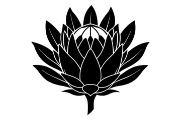
king protea flower vector silhouette, vector black king protea silhouette, king protea flower icon

