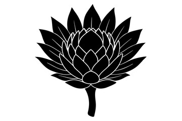 Obraz premium king protea flower vector silhouette, vector black king protea silhouette, king protea flower icon 