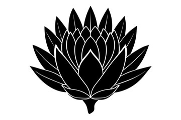 
king protea flower vector silhouette, vector black king protea silhouette, king protea flower icon
