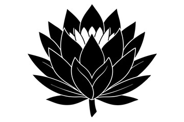 
king protea flower vector silhouette, vector black king protea silhouette, king protea flower icon
