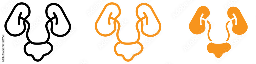 Poster anatomical urinary system icon for health and medical graphics ideal for representing the urinary sy