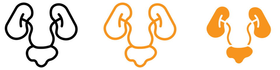 Fototapeta premium Anatomical Urinary System Icon for Health and Medical Graphics Ideal for Representing the Urinary System and Medical Diagrams