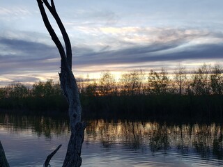 Water reflections and landscape