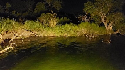Water reflections and landscape