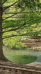 Water reflections and landscape