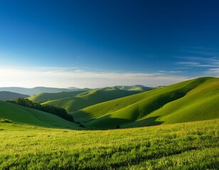 Obraz premium A serene landscape with rolling green hills under a clear blue sky