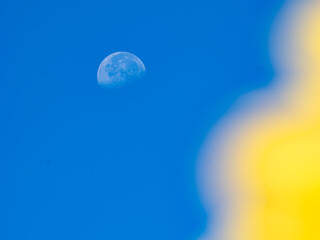 青空に浮かぶ白い月