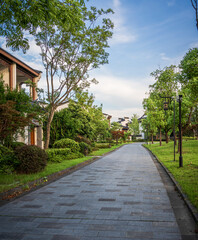 Serene Residential Pathway with Greenery