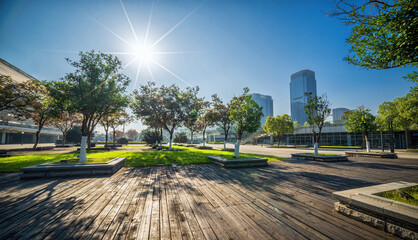 Modern Walkways and Landscaped Areas in Corporate Plaza