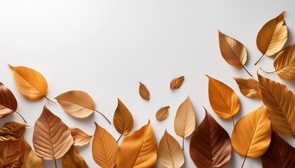 色々な落ち葉の装飾
