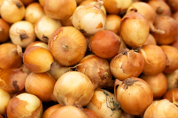 Many ripe onion as a background