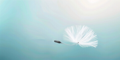 Dandelion flowers flying in the air 