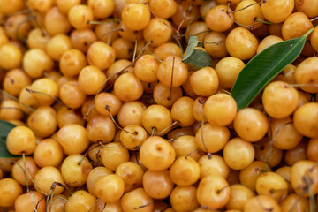 Many Sweet ripe yellow cherries as a background