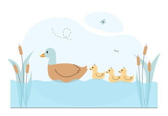 Ducks at lake. Birds swimming in water near reeds and water lilies. Pack, mother and kids. Wild life fauna. Spring tranquil lake. Linear vector illustration