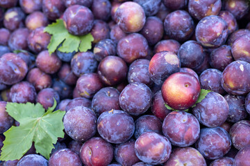 juicy purple plums on the counter of a market