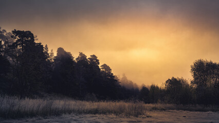 Beautiful foggy autumn scenery. Early morning landscape.